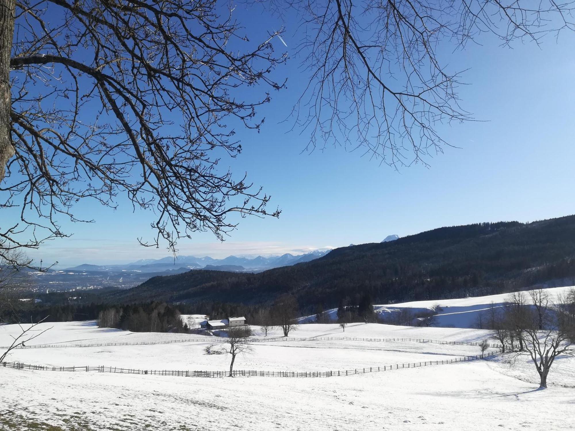 Casableiberg - Garten - Naturpark Dobratsch Apartment Bad Bleiberg